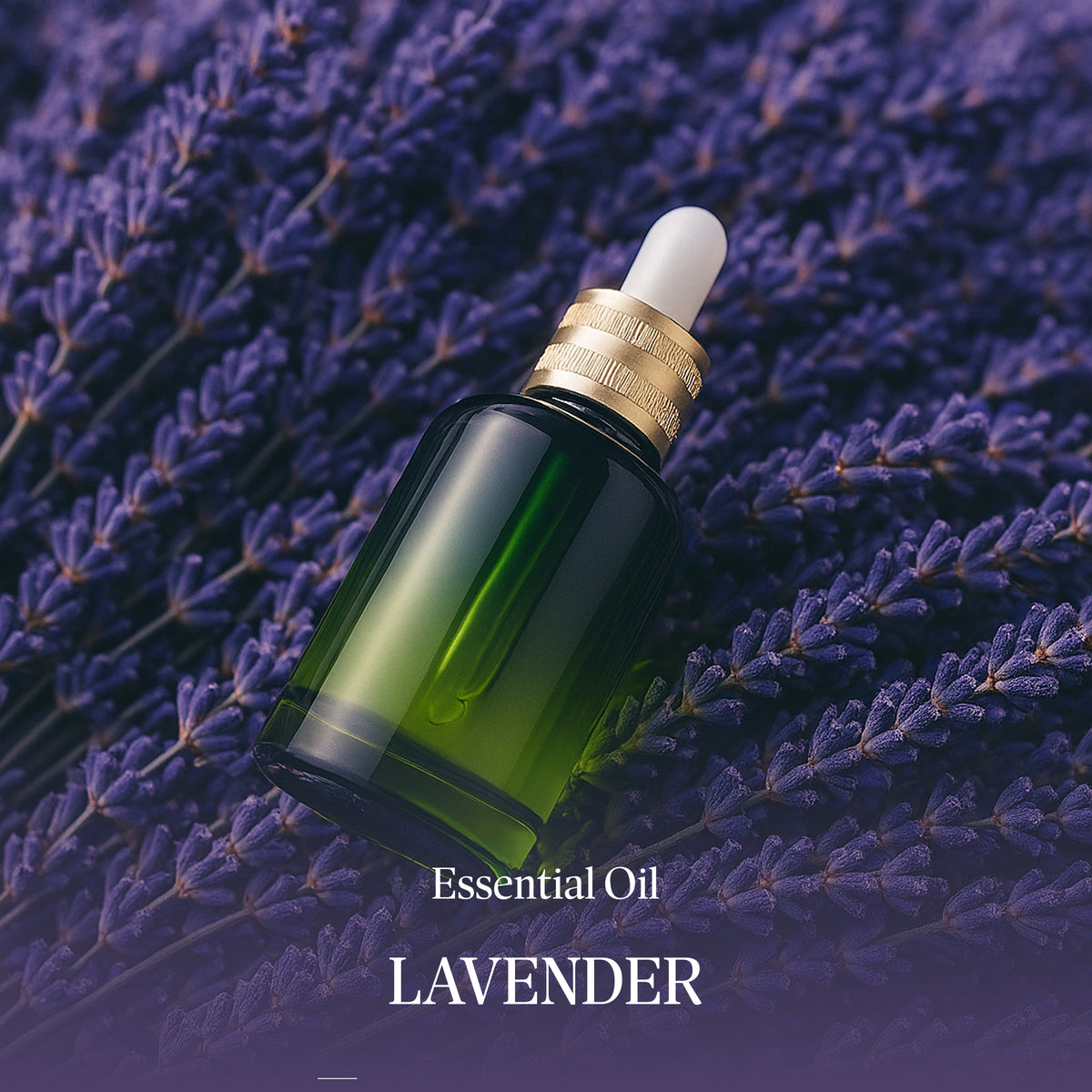 Azhara Lavender Essential Oil - product image
