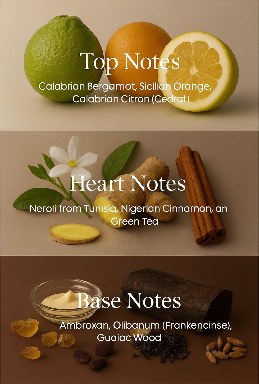 [LIMITED] Dreamer (inspired by LV Imagination )